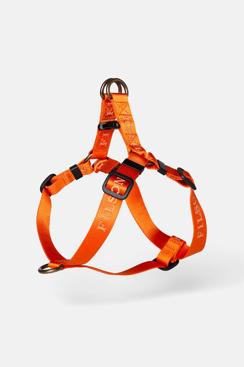 ADJUSTABLE NYLON HARNESS