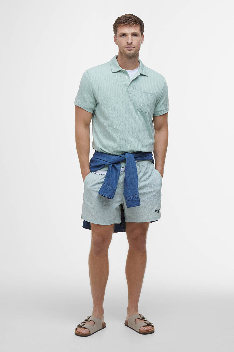Somerset Pinstripe Swim Shorts