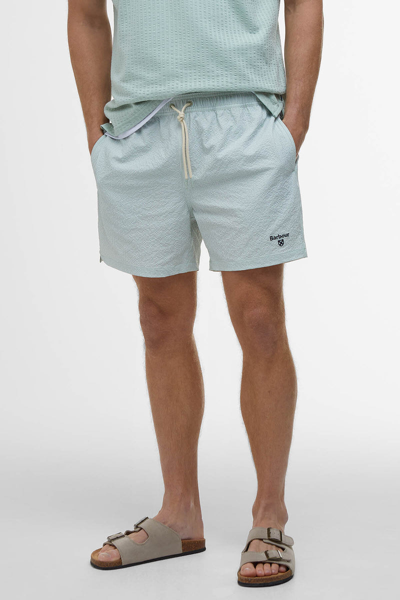 Somerset Pinstripe Swim Shorts