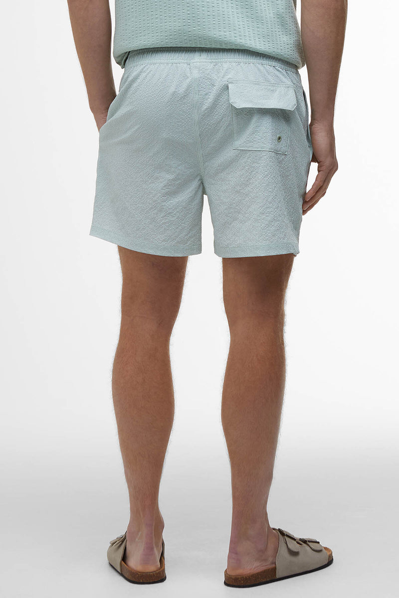 Somerset Pinstripe Swim Shorts