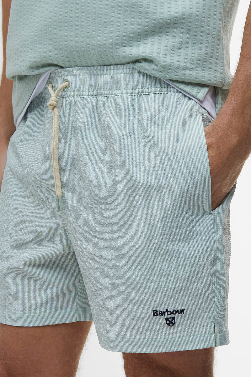 Somerset Pinstripe Swim Shorts