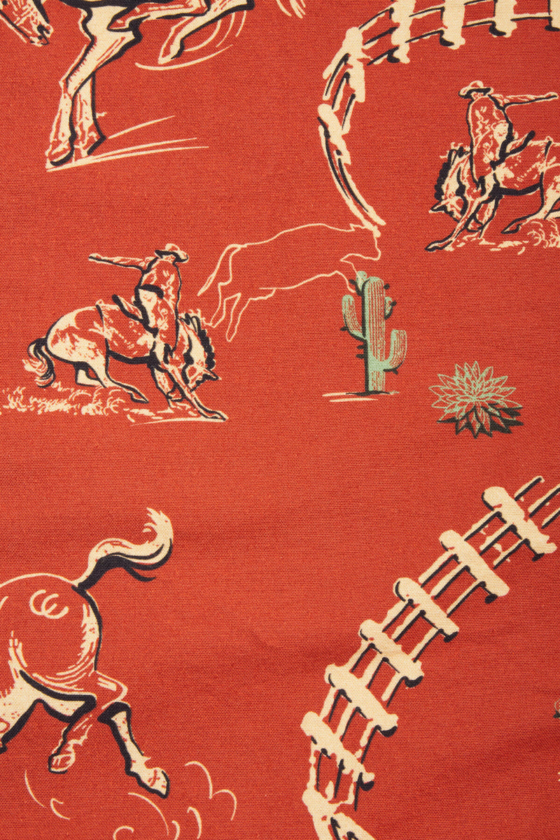 Texas Long-sleeved shirt