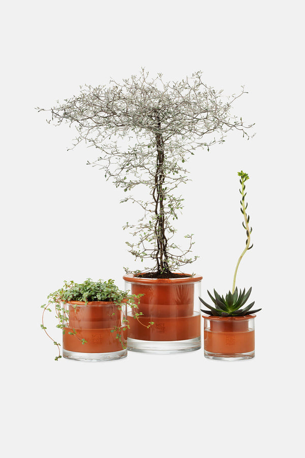 Self-Watering Wet Pots Small