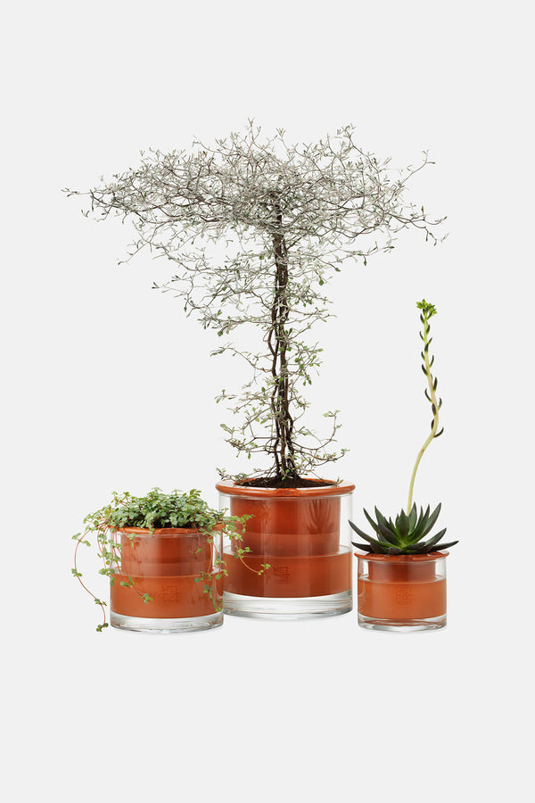 Self-Watering Wet Pots Medium