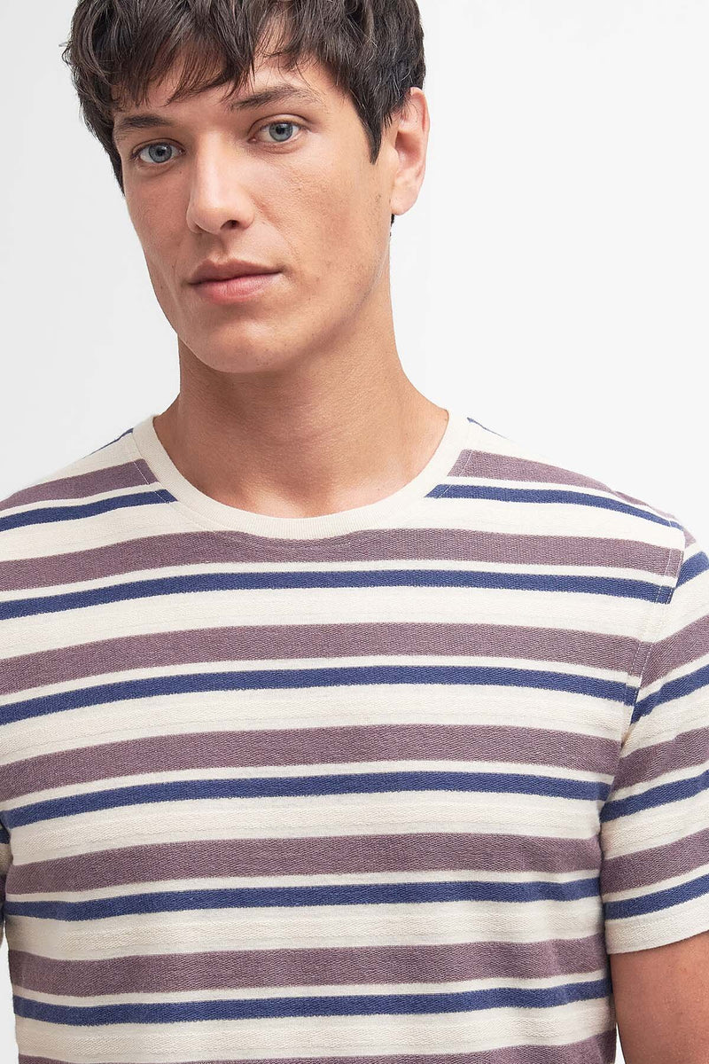 Whitwell Striped T-Shirt